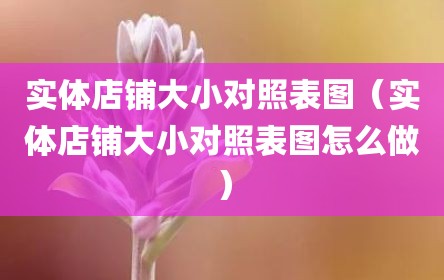 实体店铺大小对照表图（实体店铺大小对照表图怎么做）