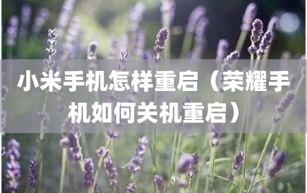 小米手机怎样重启（荣耀手机如何关机重启）