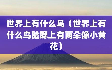 世界上有什么鸟（世界上有什么鸟脸腮上有两朵像小黄花）