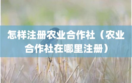 怎样注册农业合作社（农业合作社在哪里注册）
