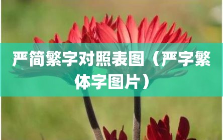 严简繁字对照表图（严字繁体字图片）