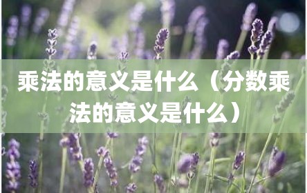 乘法的意义是什么（分数乘法的意义是什么）