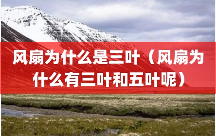 风扇为什么是三叶（风扇为什么有三叶和五叶呢）