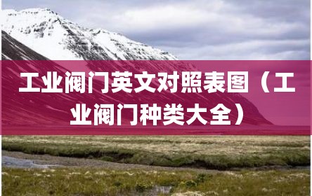 工业阀门英文对照表图（工业阀门种类大全）