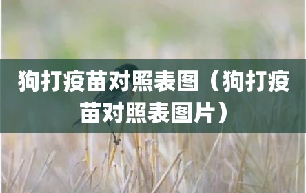 狗打疫苗对照表图（狗打疫苗对照表图片）