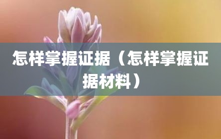 怎样掌握证据（怎样掌握证据材料）