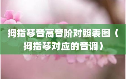 拇指琴音高音阶对照表图（拇指琴对应的音调）