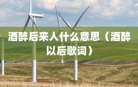 酒醉后来人什么意思（酒醉以后歌词）