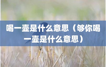 喝一壶是什么意思（够你喝一壶是什么意思）