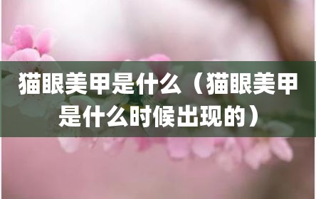 猫眼美甲是什么（猫眼美甲是什么时候出现的）