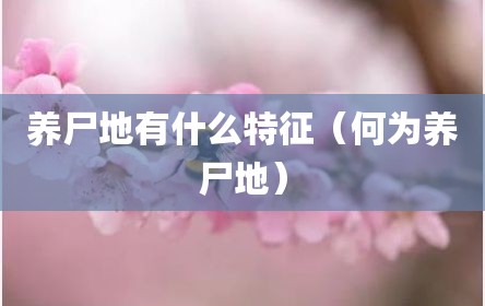 养尸地有什么特征（何为养尸地）