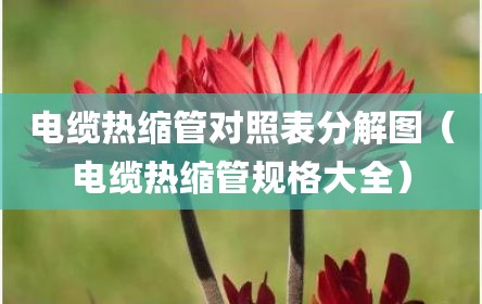 电缆热缩管对照表分解图（电缆热缩管规格大全）
