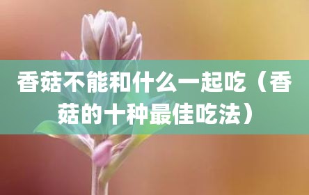 香菇不能和什么一起吃（香菇的十种最佳吃法）