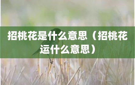 招桃花是什么意思（招桃花运什么意思）