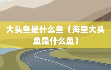 大头鱼是什么鱼（海里大头鱼是什么鱼）