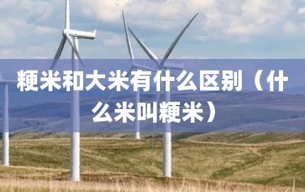 粳米和大米有什么区别（什么米叫粳米）