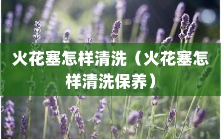 火花塞怎样清洗（火花塞怎样清洗保养）