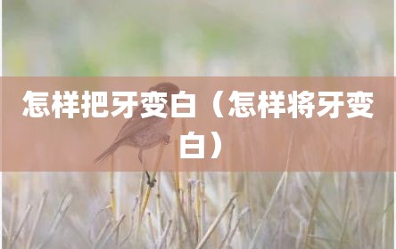 怎样把牙变白（怎样将牙变白）