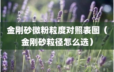金刚砂微粉粒度对照表图（金刚砂粒径怎么选）
