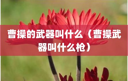 曹操的武器叫什么（曹操武器叫什么枪）