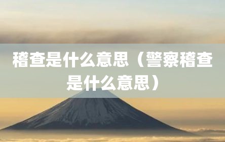 稽查是什么意思（警察稽查是什么意思）