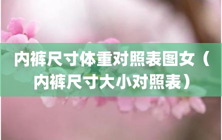 内裤尺寸体重对照表图女（内裤尺寸大小对照表）