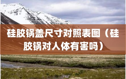 硅胶锅盖尺寸对照表图（硅胶锅对人体有害吗）
