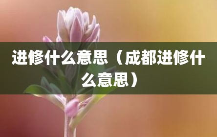 进修什么意思（成都进修什么意思）