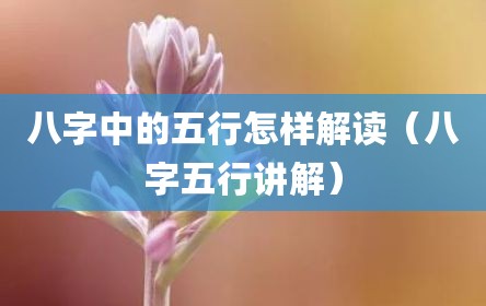 八字中的五行怎样解读（八字五行讲解）