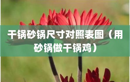 干锅砂锅尺寸对照表图（用砂锅做干锅鸡）
