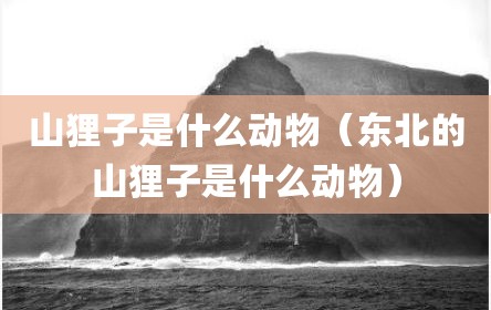 山狸子是什么动物（东北的山狸子是什么动物）