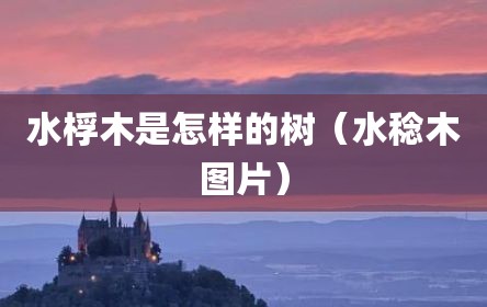 水桴木是怎样的树（水稔木图片）
