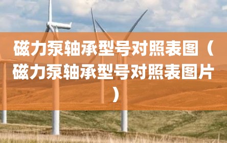 磁力泵轴承型号对照表图（磁力泵轴承型号对照表图片）