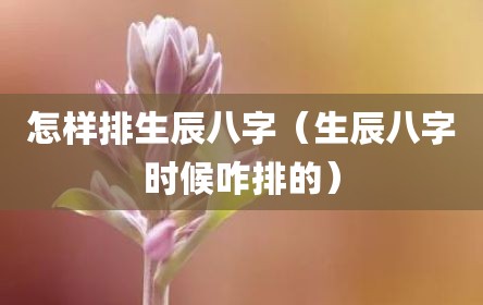 怎样排生辰八字（生辰八字时候咋排的）