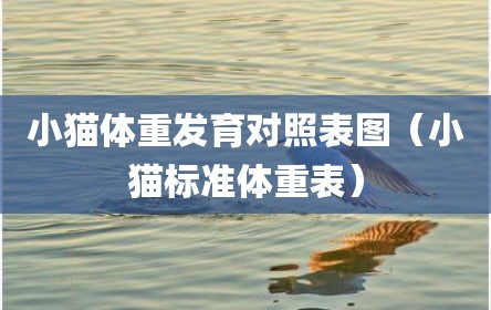 小猫体重发育对照表图（小猫标准体重表）