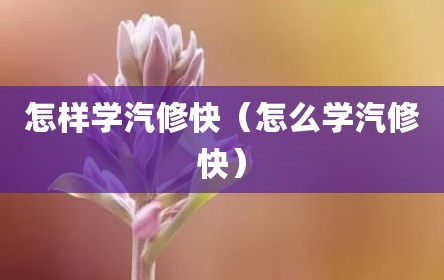 怎样学汽修快（怎么学汽修快）