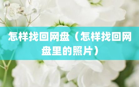 怎样找回网盘（怎样找回网盘里的照片）