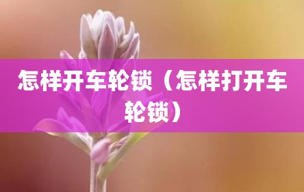 怎样开车轮锁（怎样打开车轮锁）