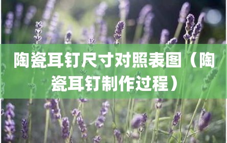 陶瓷耳钉尺寸对照表图（陶瓷耳钉制作过程）