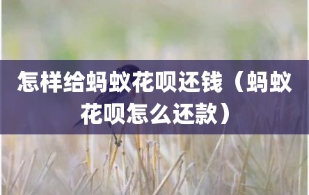 怎样给蚂蚁花呗还钱（蚂蚁花呗怎么还款）