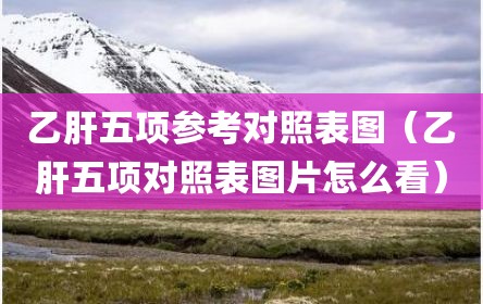 乙肝五项参考对照表图（乙肝五项对照表图片怎么看）