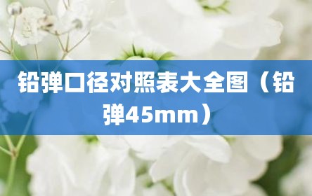 铅弹口径对照表大全图（铅弹45mm）