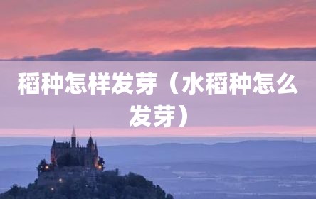 稻种怎样发芽（水稻种怎么发芽）