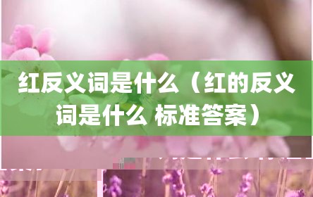 红反义词是什么（红的反义词是什么 标准答案）