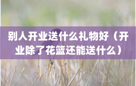 别人开业送什么礼物好（开业除了花篮还能送什么）