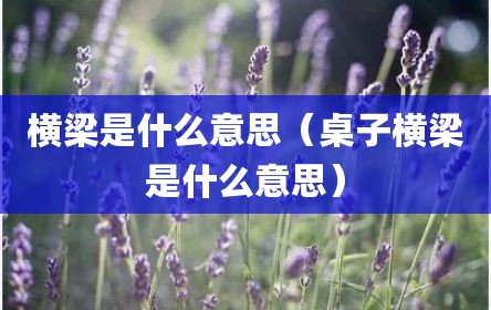 横梁是什么意思（桌子横梁是什么意思）