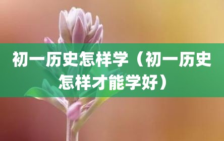 初一历史怎样学（初一历史怎样才能学好）