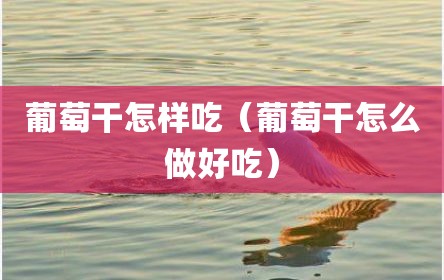 葡萄干怎样吃（葡萄干怎么做好吃）