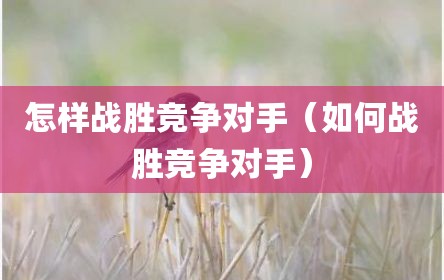 怎样战胜竞争对手（如何战胜竞争对手）
