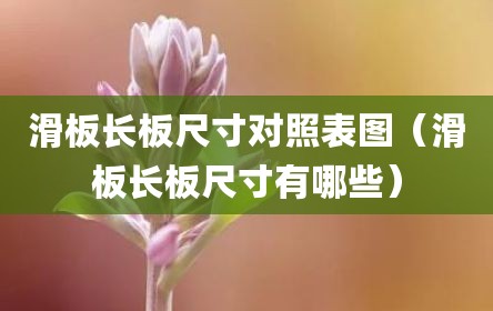 滑板长板尺寸对照表图（滑板长板尺寸有哪些）